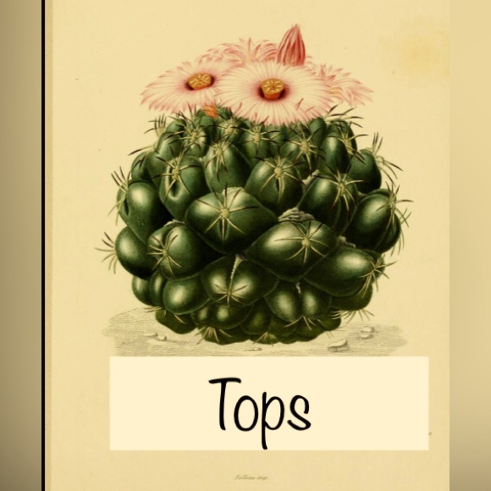 Sweaters, Tank Tops and Tee Shirts